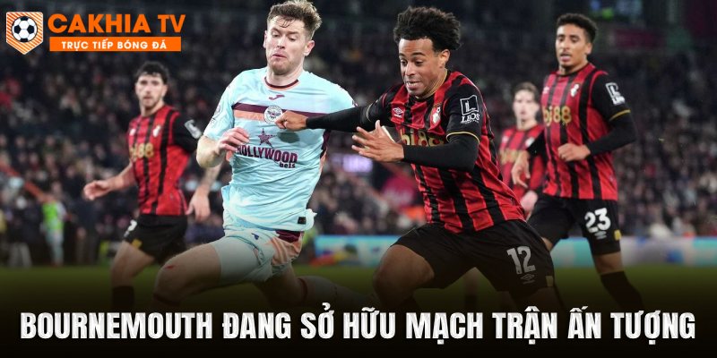 Bournemouth đang sở hữu mạch trận ấn tượng